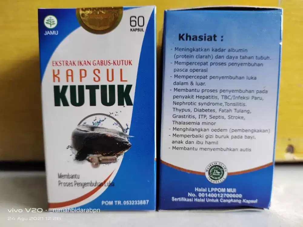 Kapsul Kutuk (Ikan Gabus)