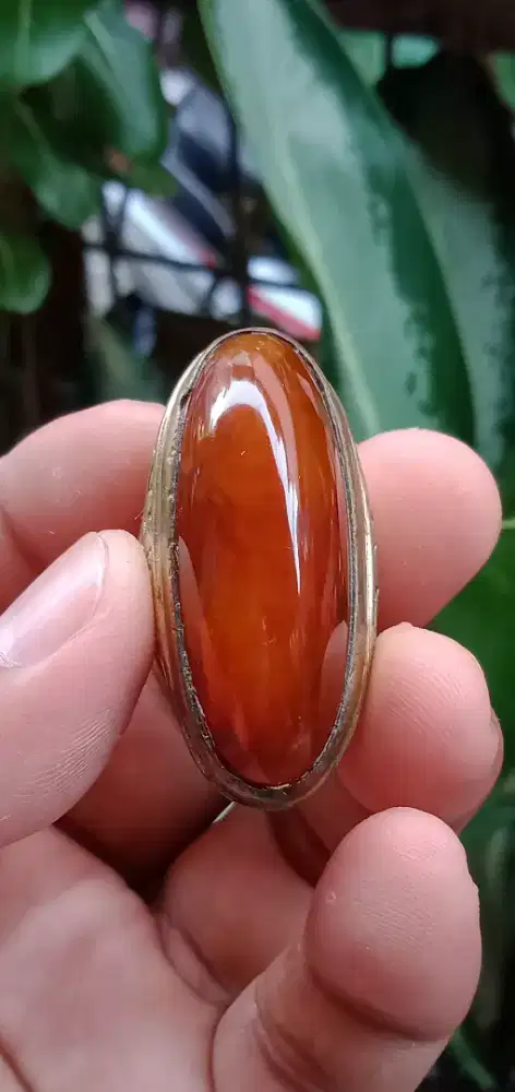 pandan nasmer (421313)