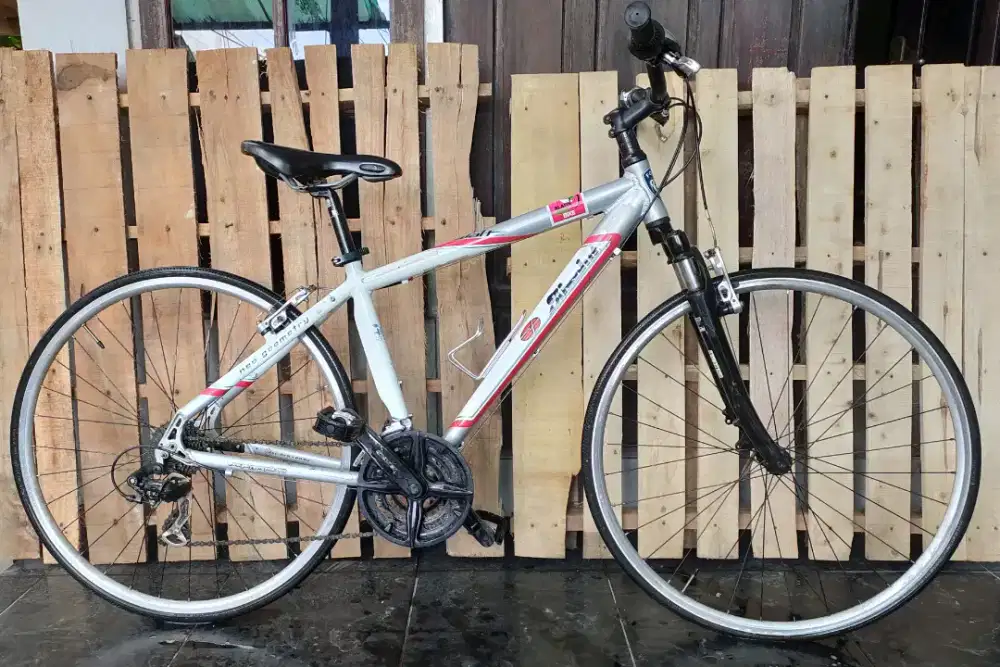 Sepeda Polygon absolut