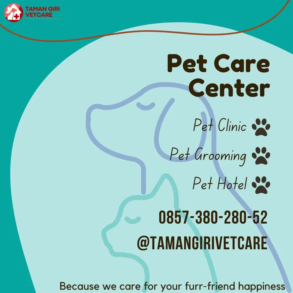 Makanan, Kalung dan Dokter Hewan Anjing Kucing di Jimbaran Nusa Dua