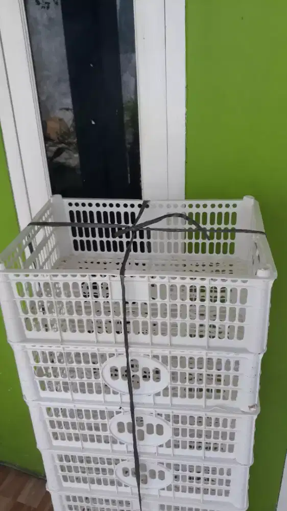 keranjang buah Anggur