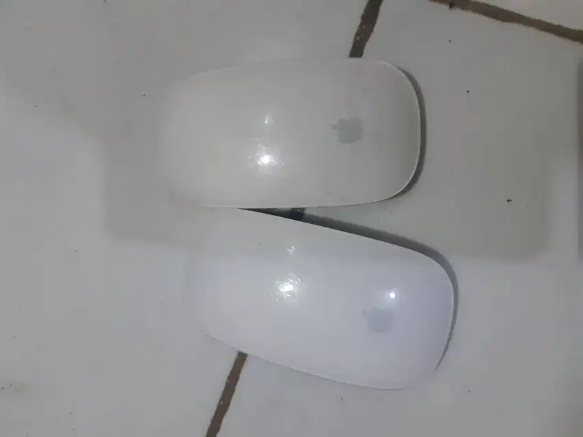 Apple Magic Mouse Junk