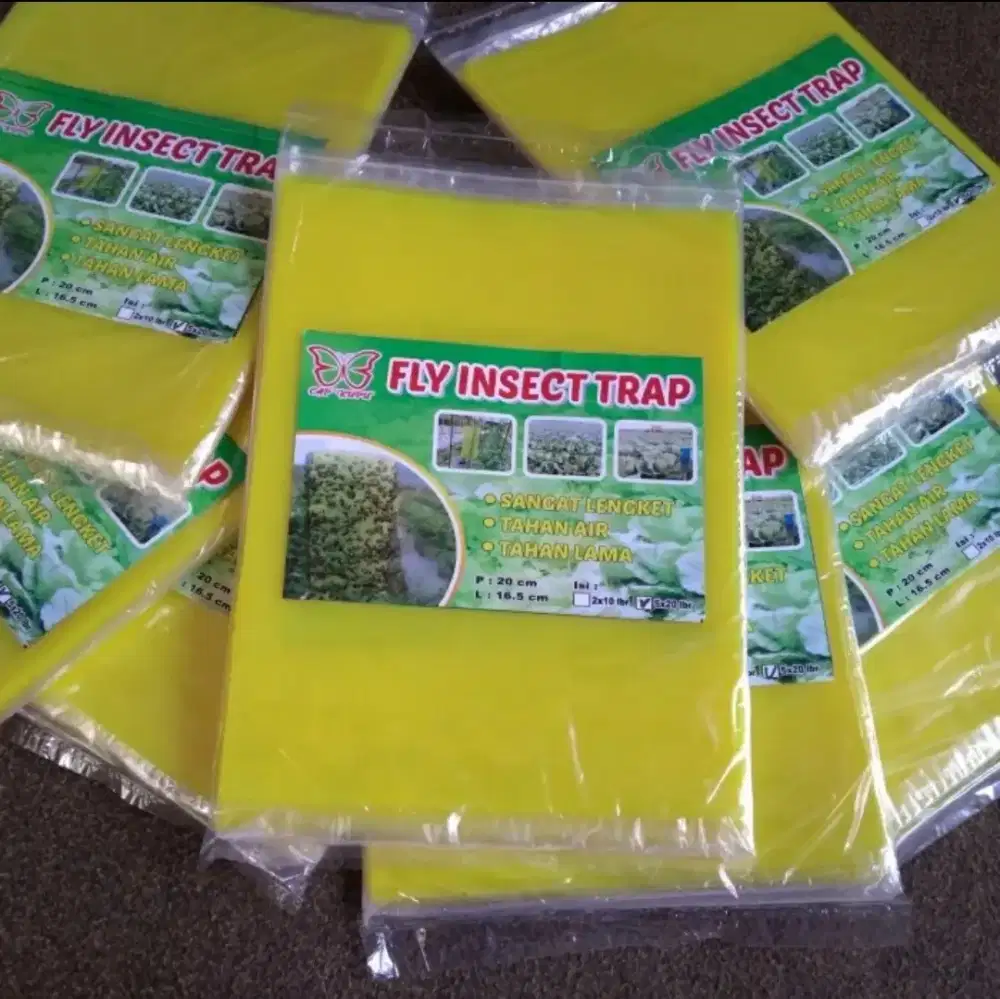 Yellow Trap / Insect Trap / Perangkap Hama / Lem Hama