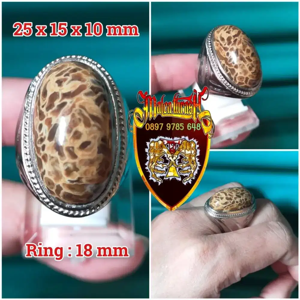 Koleksi Aksesories Cincin Batu Akik
