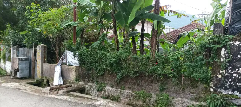 Dijual cepat, tanah ex Villa dekat Vihara Gadog Cipanas