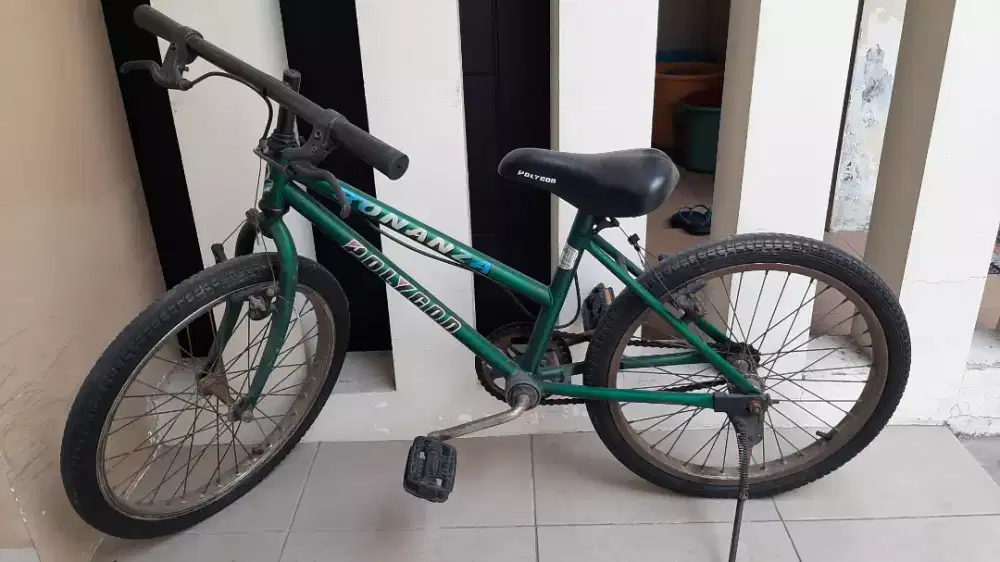 Jual Sepeda MTB Polygon 16