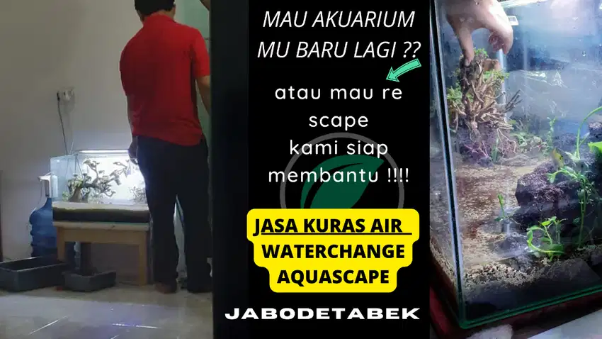 design perawatan hias akuarium tema aquascape