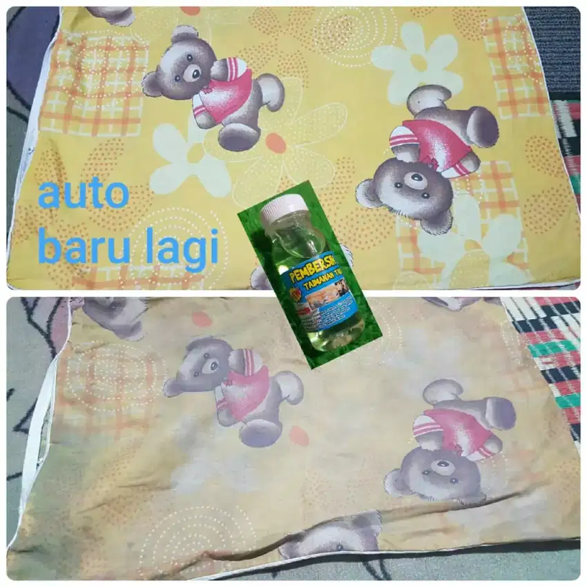 RH pembersih jamur 500ml