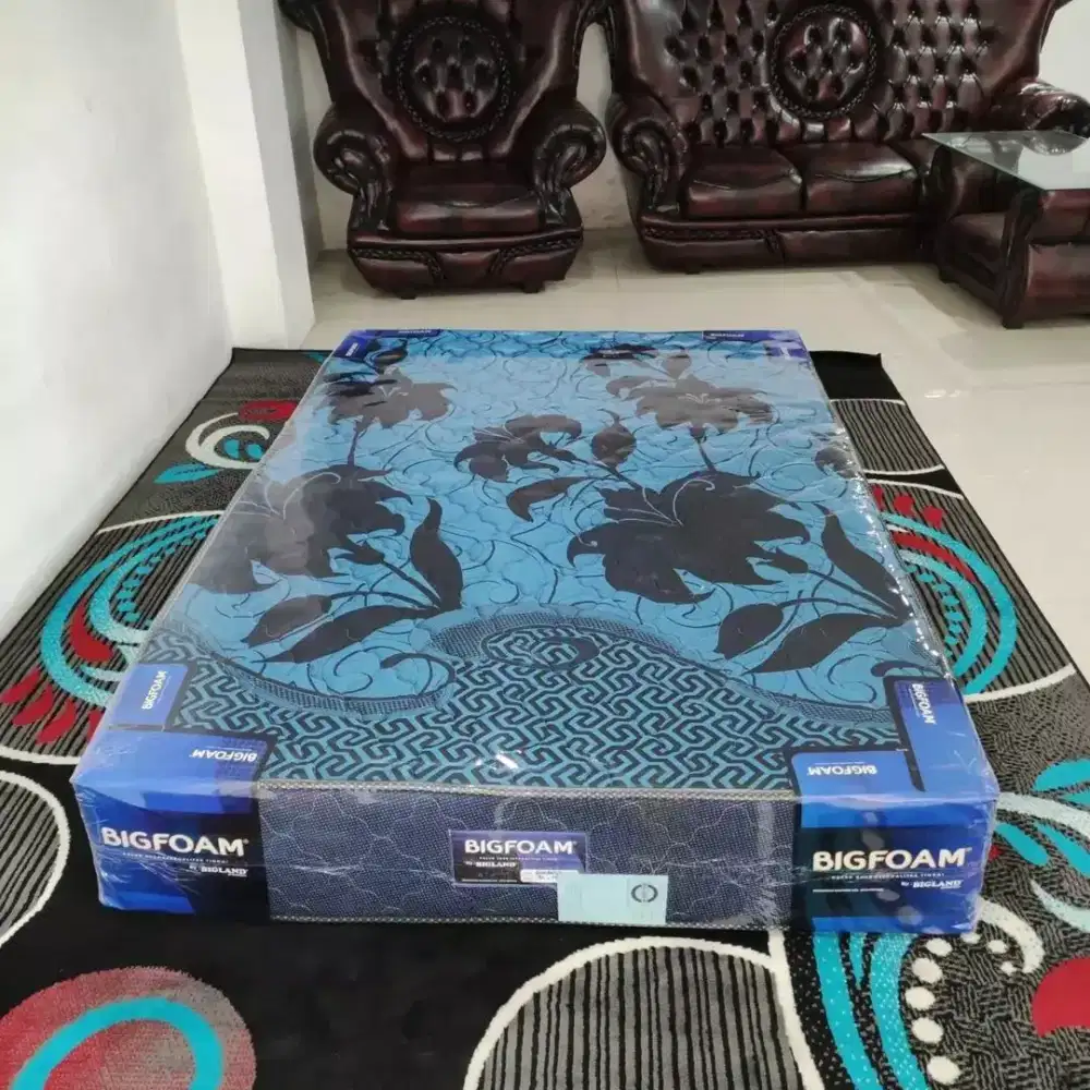 Kasur Busa Bigland