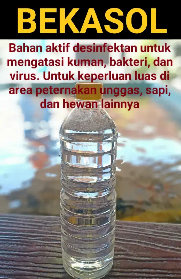 Bekasol Desinfektan kandang ayam dan sapi