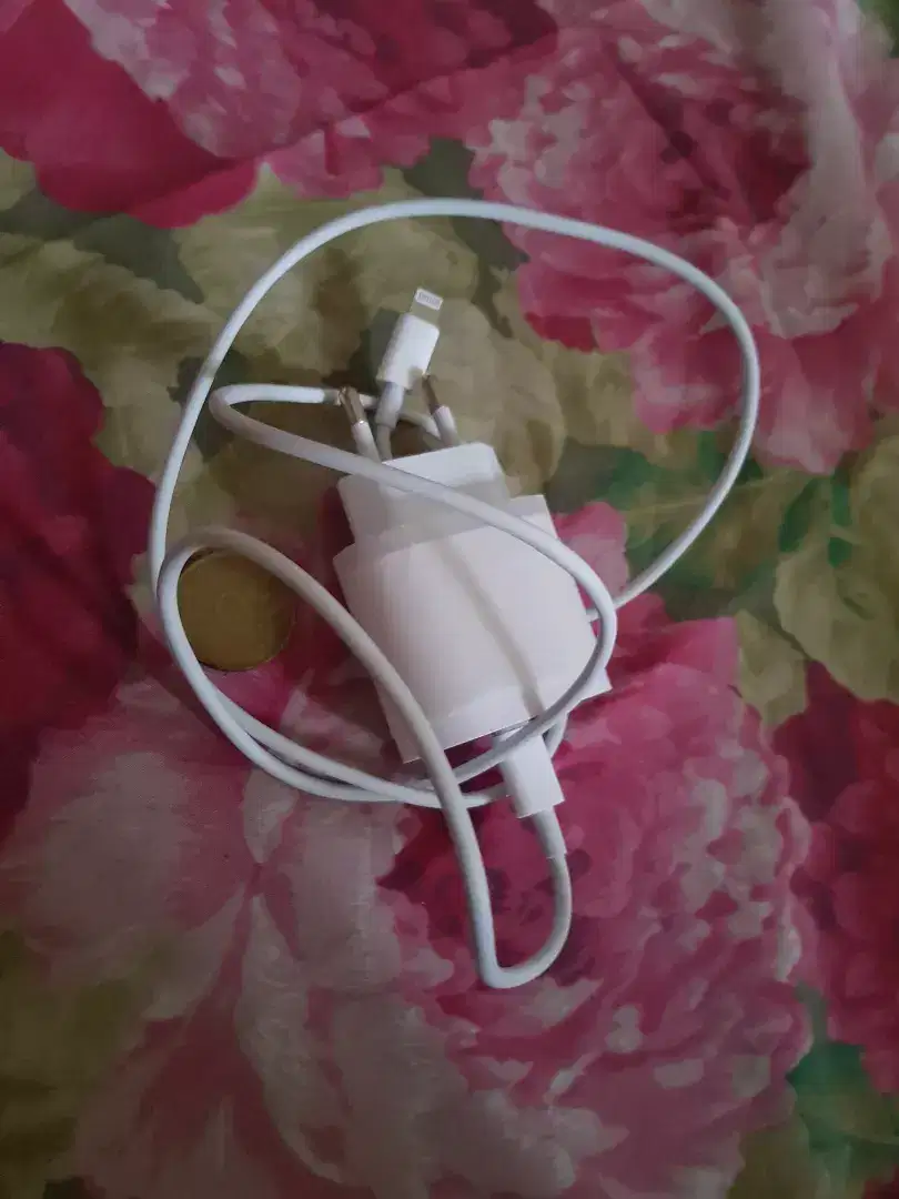 Charger casan iphone 11  ori 18w