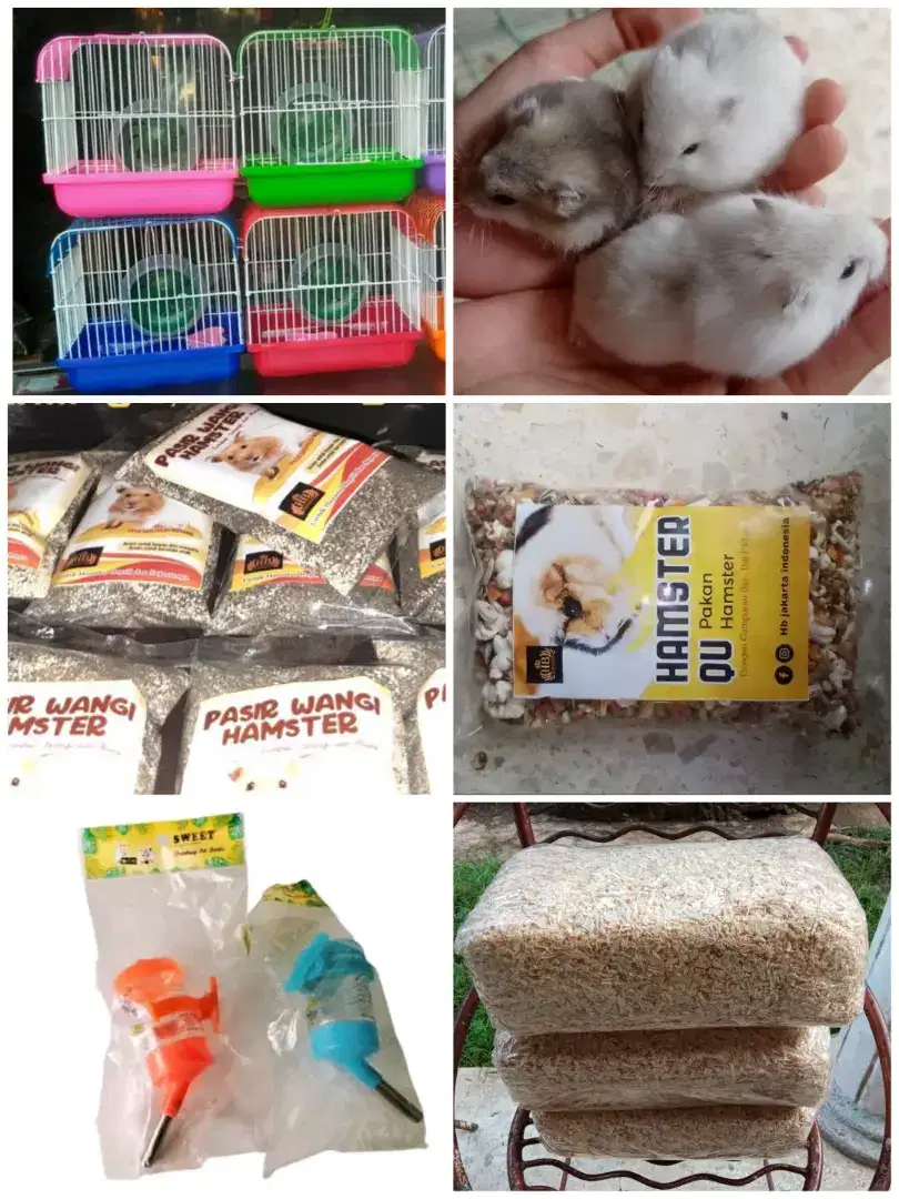 Paket Hamster ( Winter White, Kandang, Makan, Botol, Pasir, Serbuk )