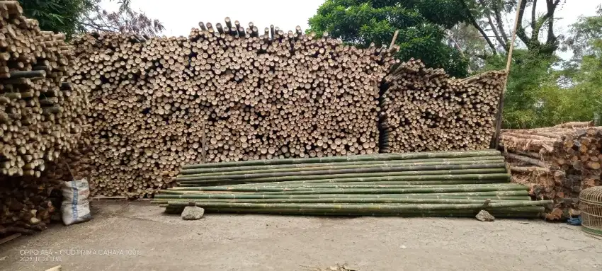 Jual bambu kaso triplek balok