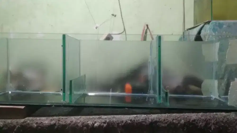 filter talang filter kaca lokasi kedoya