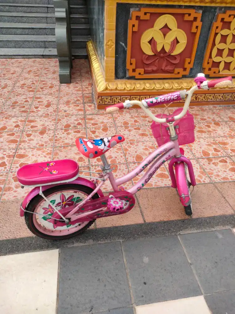 Sepeda anak 2 roda