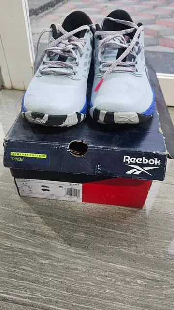 Sepatu sport hotsell reebok wanita