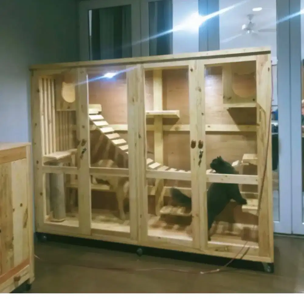 Kandang kucing kesayangan anda pemirsa