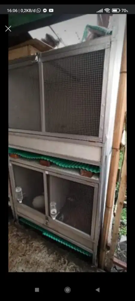 Kandang kucing kandang anjing kandang kelinci giant