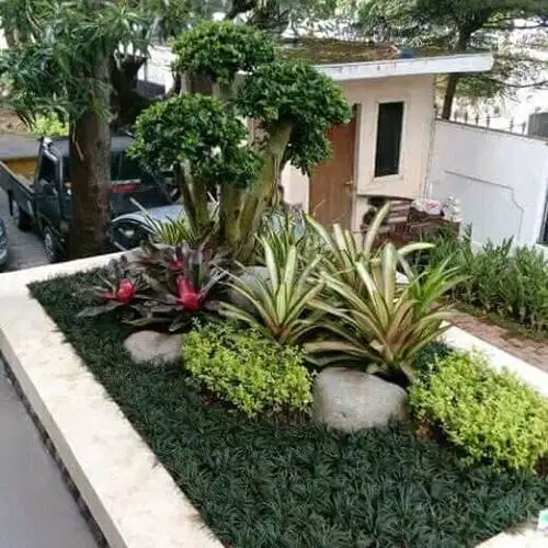 Tukang Taman Jakarta selatan