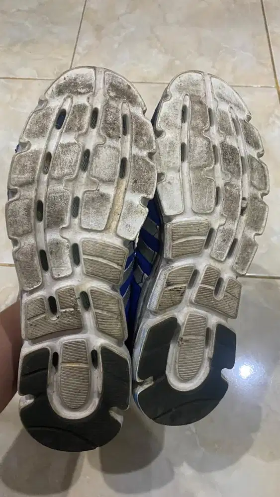 Sepatu laki merk Adidas original blue colour