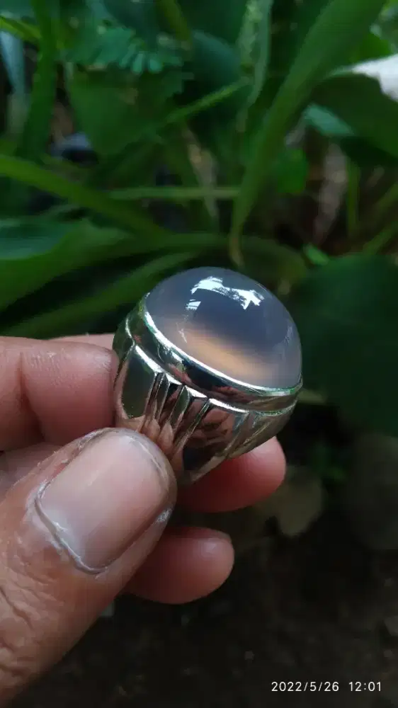 anggur pacitan clasic origin bukit ndhasar HQ JUMBO limited edition