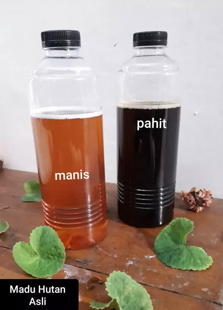 Madu Hutan Liar ( Raw Honey )