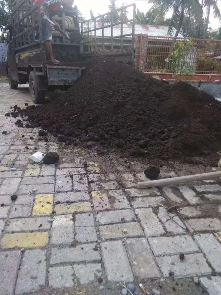 Distributor tanah hitam humus
