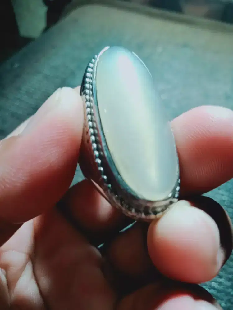 baiduri pandan kapas klep ( 421506 )