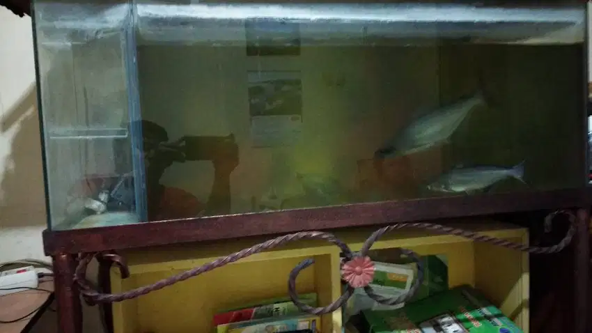 Jual Aquarium BESAR jual murah meriah aja