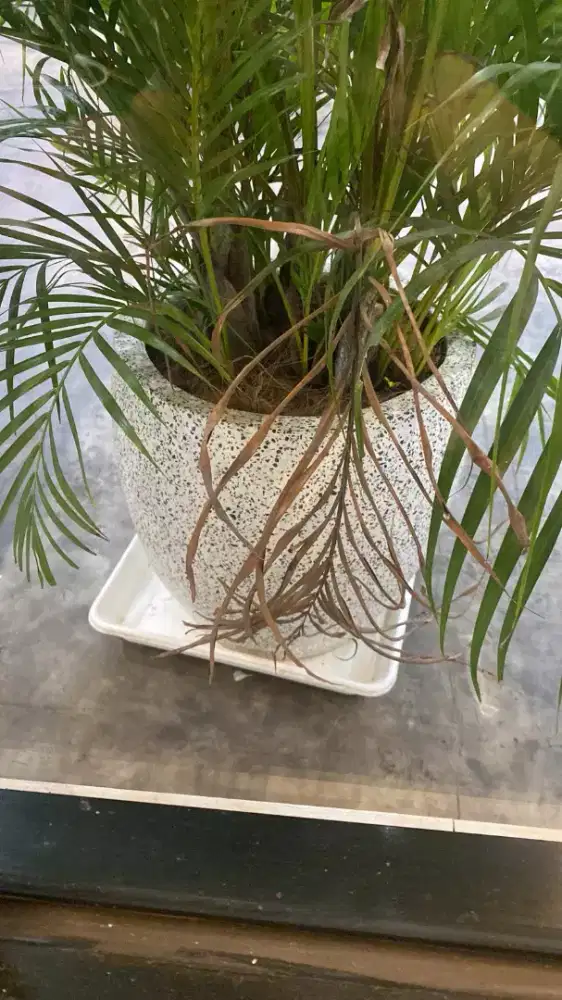 Pot bunga berbagai bentuk