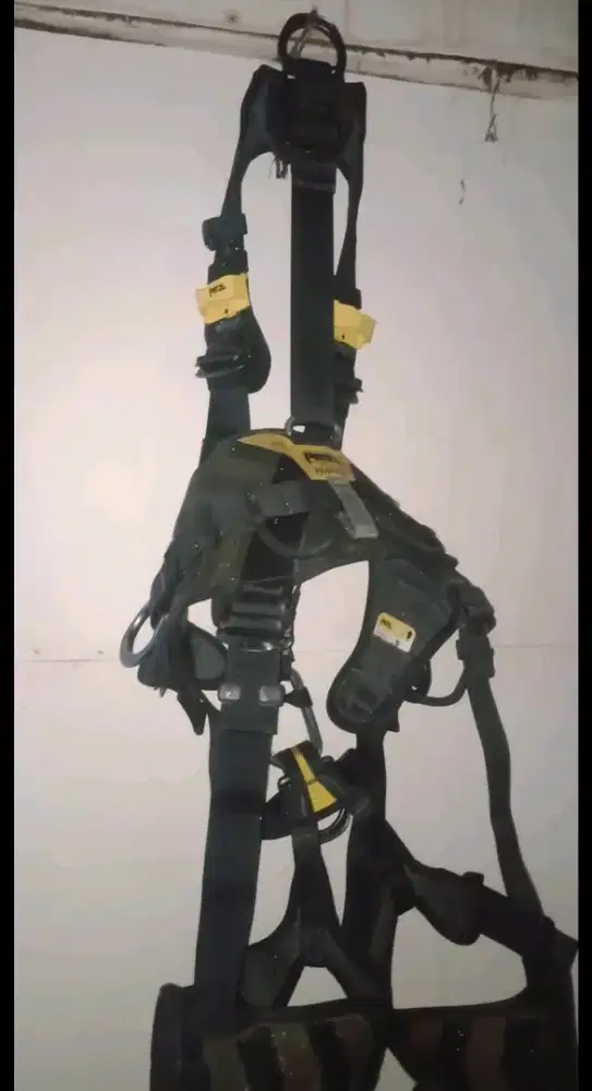 Fullbody harness avao petzl