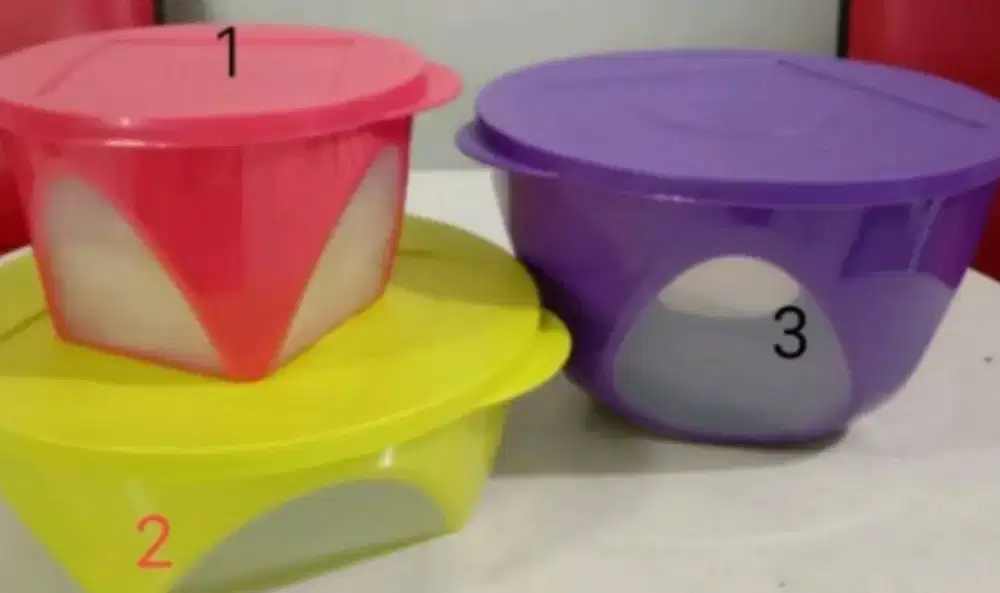 wadah penyimpanan/OUTDOOR DINNING BOWL TUPPERWARE