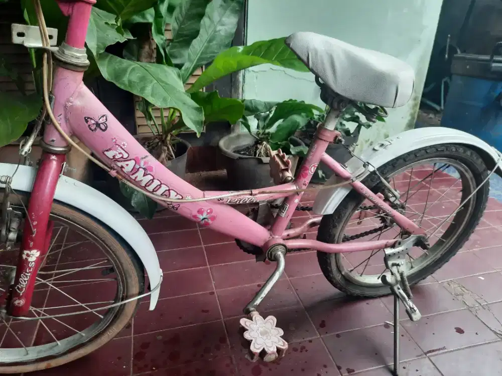 Sepeda anak  Family  uk 18