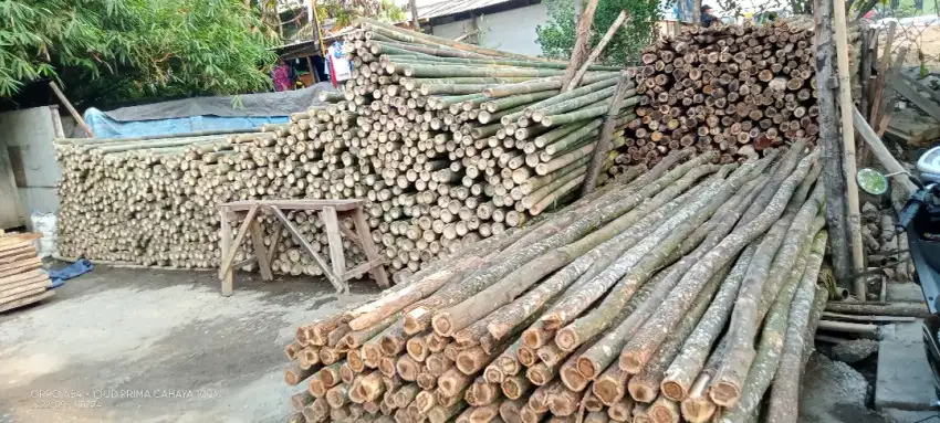 Jual bambu kaso triplek balok