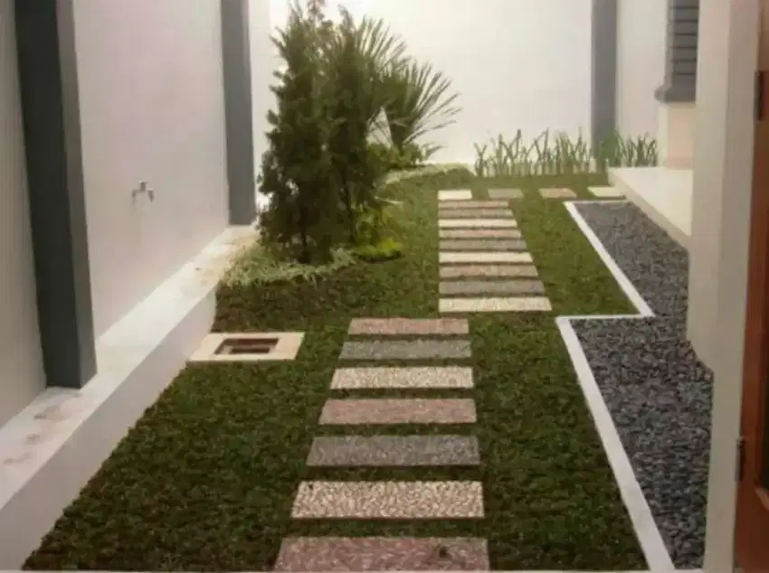 Menjual rumput gajah mini langsung dari petani