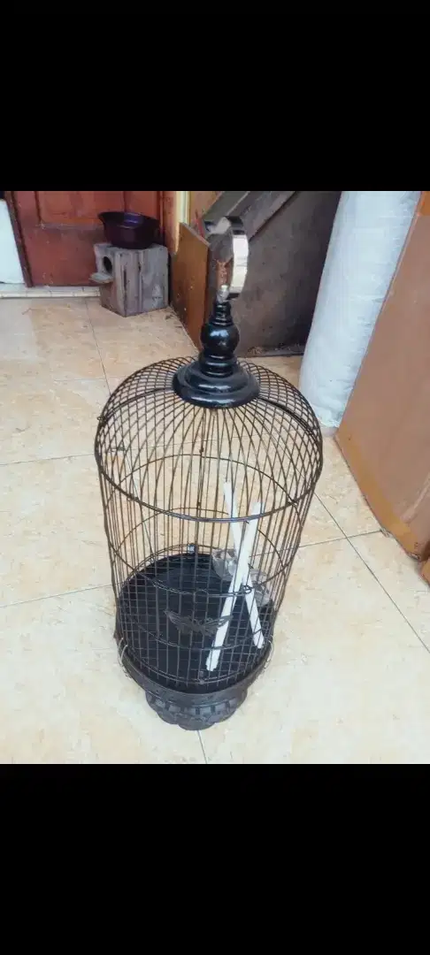 Sangkar burung kecil