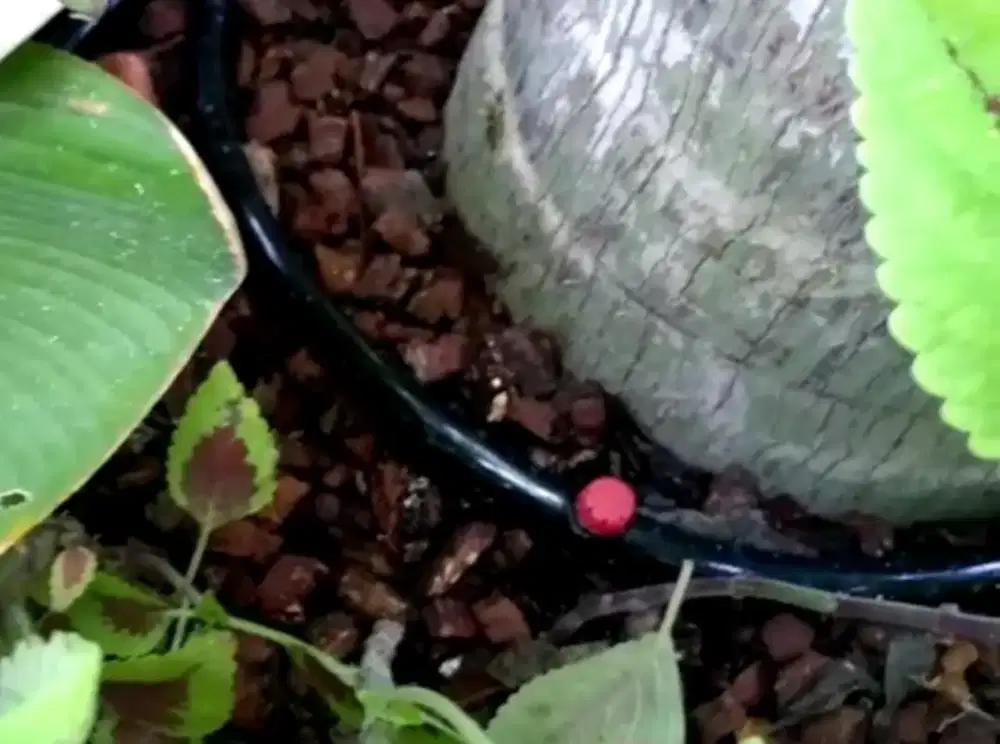 Selang PE 16mm Kualitas OK dan Lentur