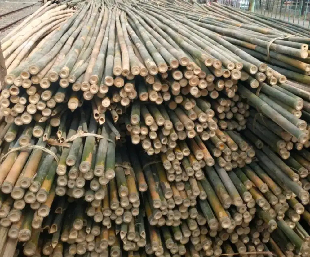 jual bambu bendera 3-4cm