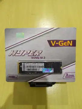 Ssd 256gb NVME Vgen