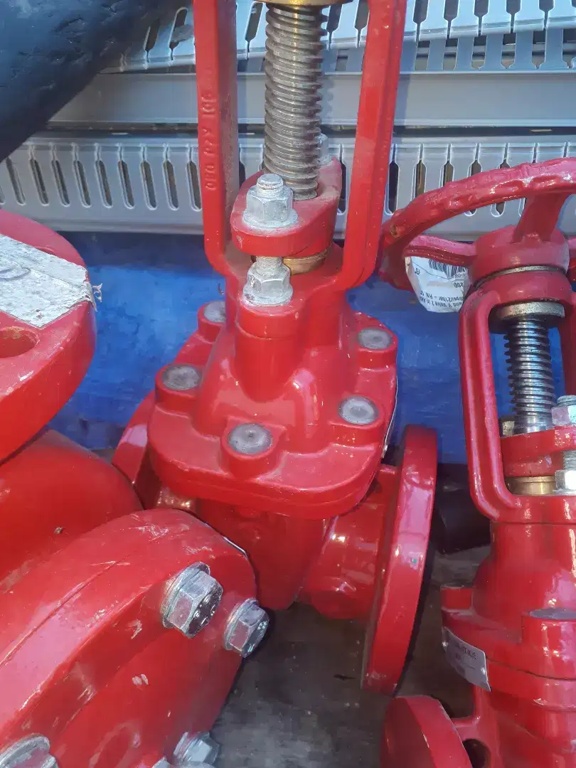 Gate valve viking 2 inch 3 in dan 6 in  ulm