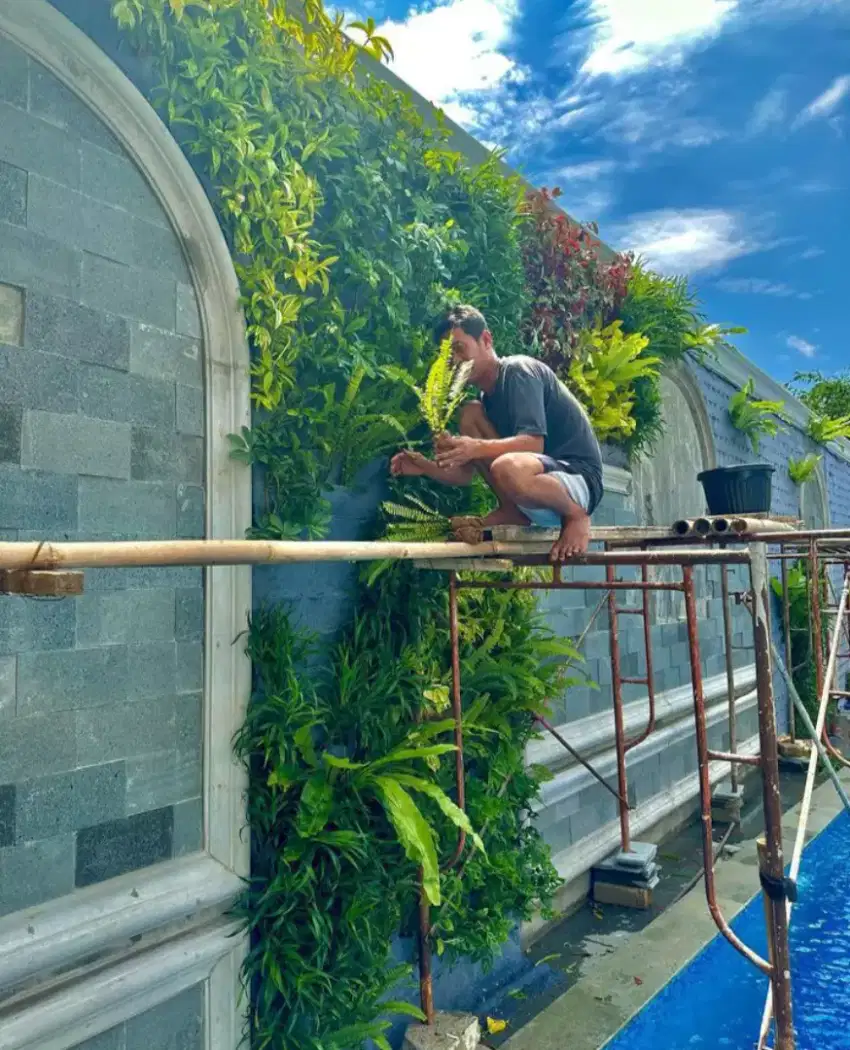 Taman vertical garden murah