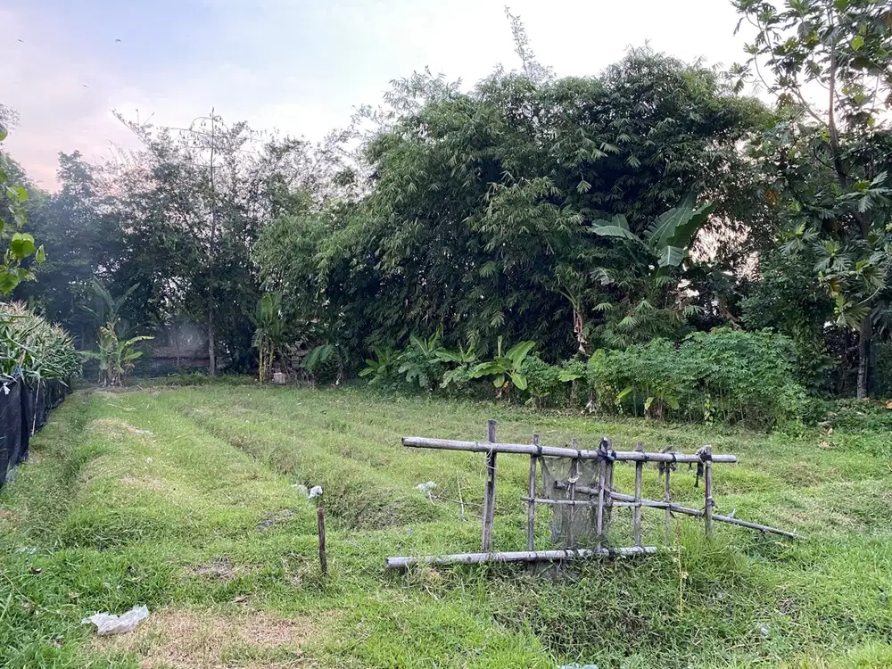 Tanah SHM Jombang Gudo Mejoyolosari 16x67 dekat Gerbang Tol Kertosono