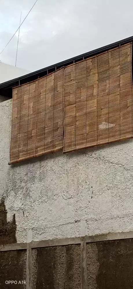 Krei krey wide bambu hinis terlaris