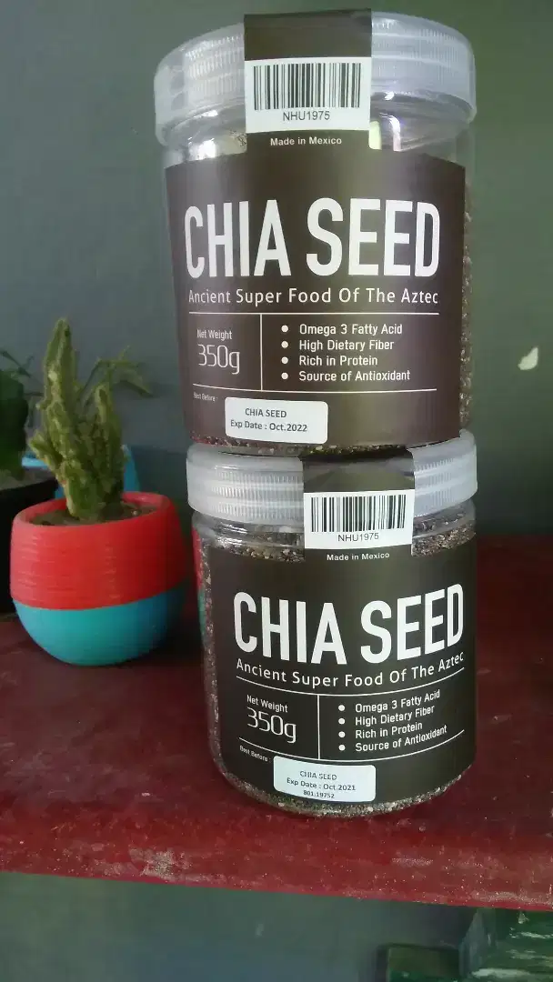 Chia seed biji tanaman asli mexico