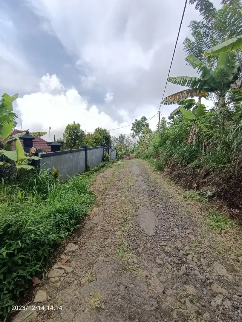 Tanah dekat Altavista Bali Mountain Villa view lembah di Wanagiri