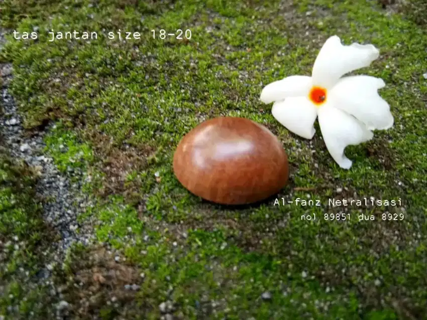 Mata cincin kayu tas jantan size 18-20