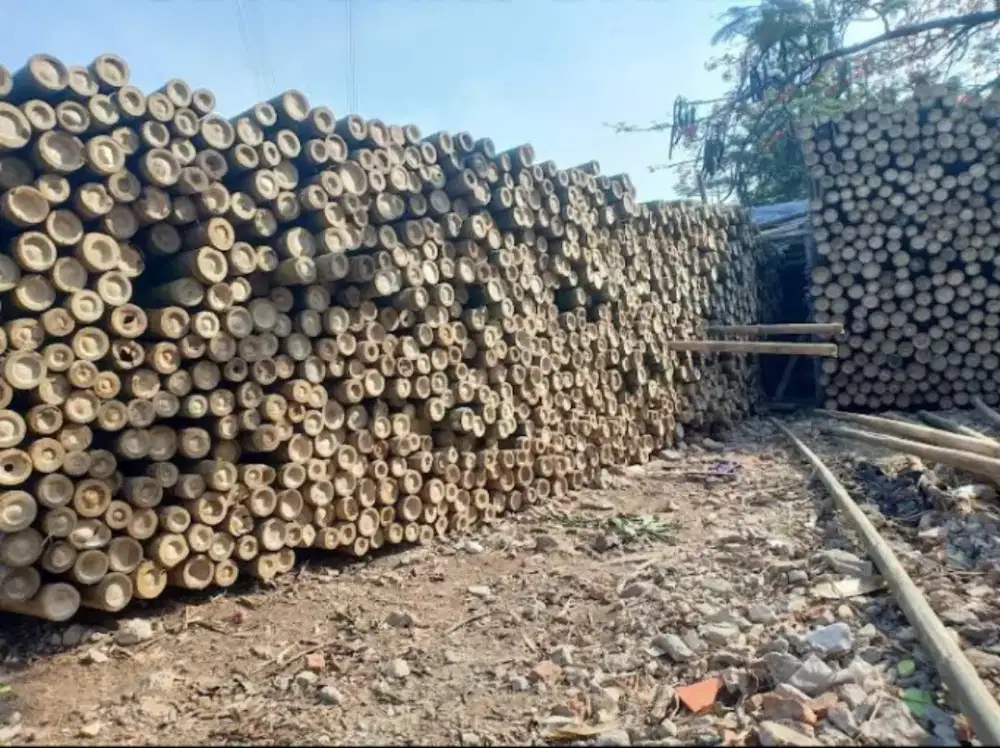 Jual bambu stger cor lurus