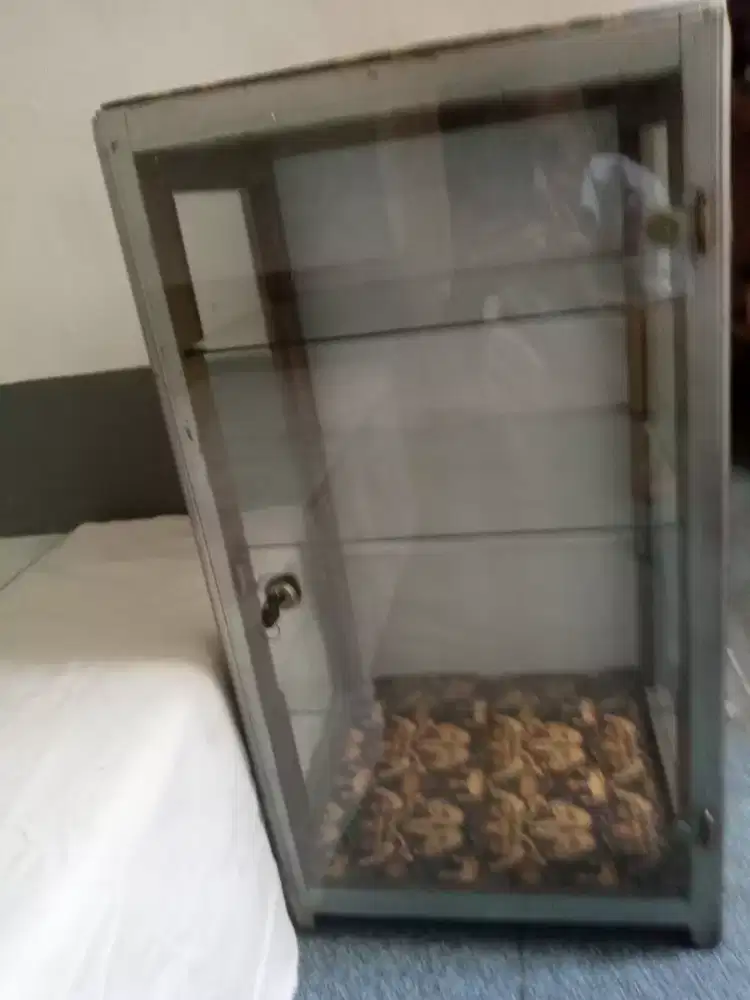 Almari kaca &amp; kayu 4rak