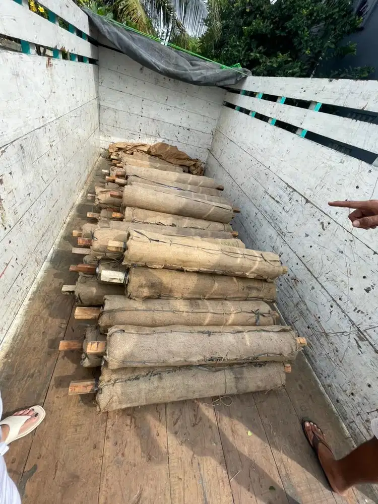 Pb timbal timah radiologi