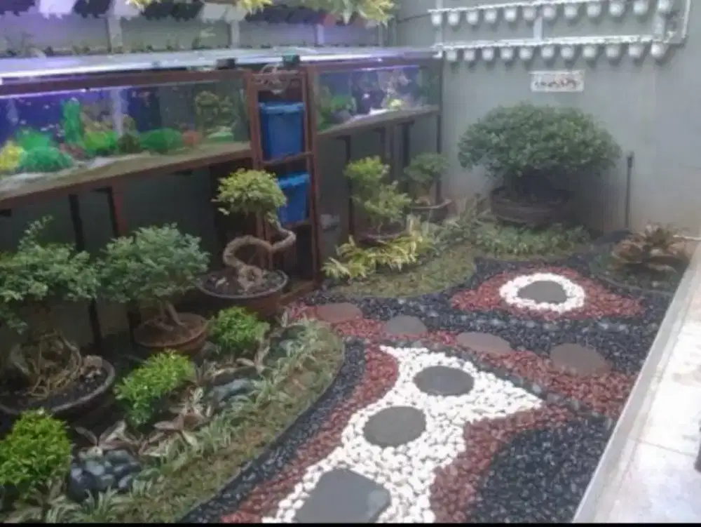 Tukang taman || buat taman murah meriah